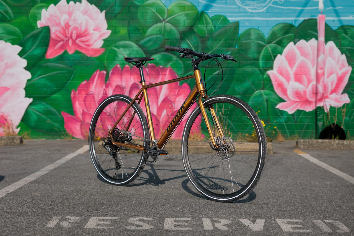 Brodie Venture 1.0 Sunset gold